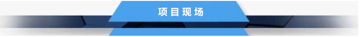 项目现场.png