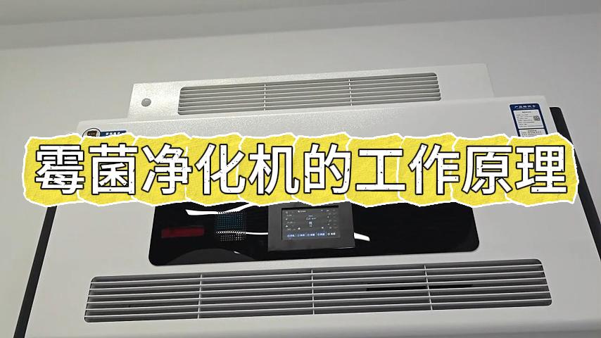 霉菌净化机的工作原理