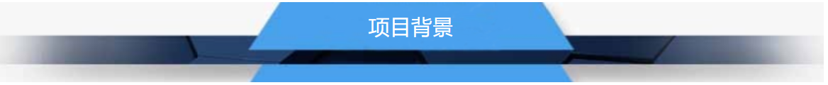 项目背景.png